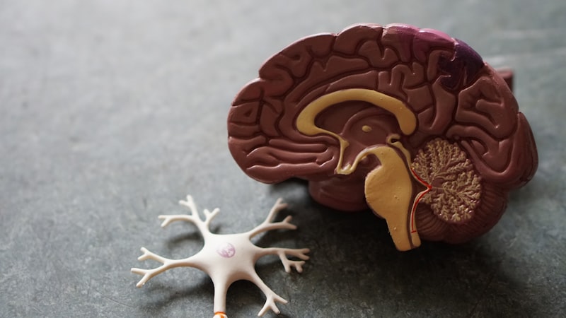 ai injury prevention machine learning workout setbacks